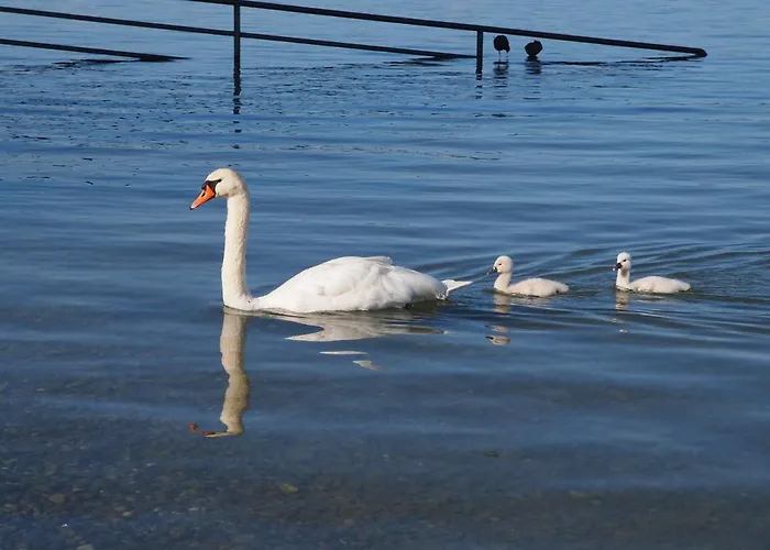 דירה Gaestehaus Moleblick *